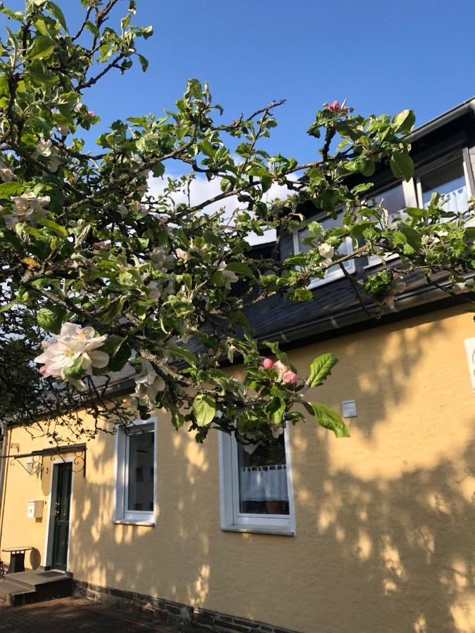 Am Apfelbaum, Ein Ferienhaus Zwischen Rhein Und Mosel Kastellaun Eksteriør billede