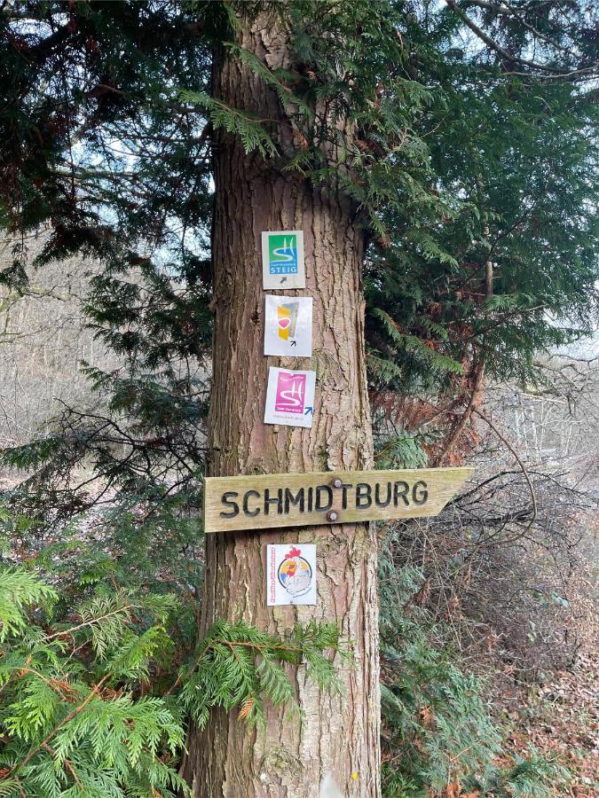 Am Apfelbaum, Ein Ferienhaus Zwischen Rhein Und Mosel Kastellaun Eksteriør billede