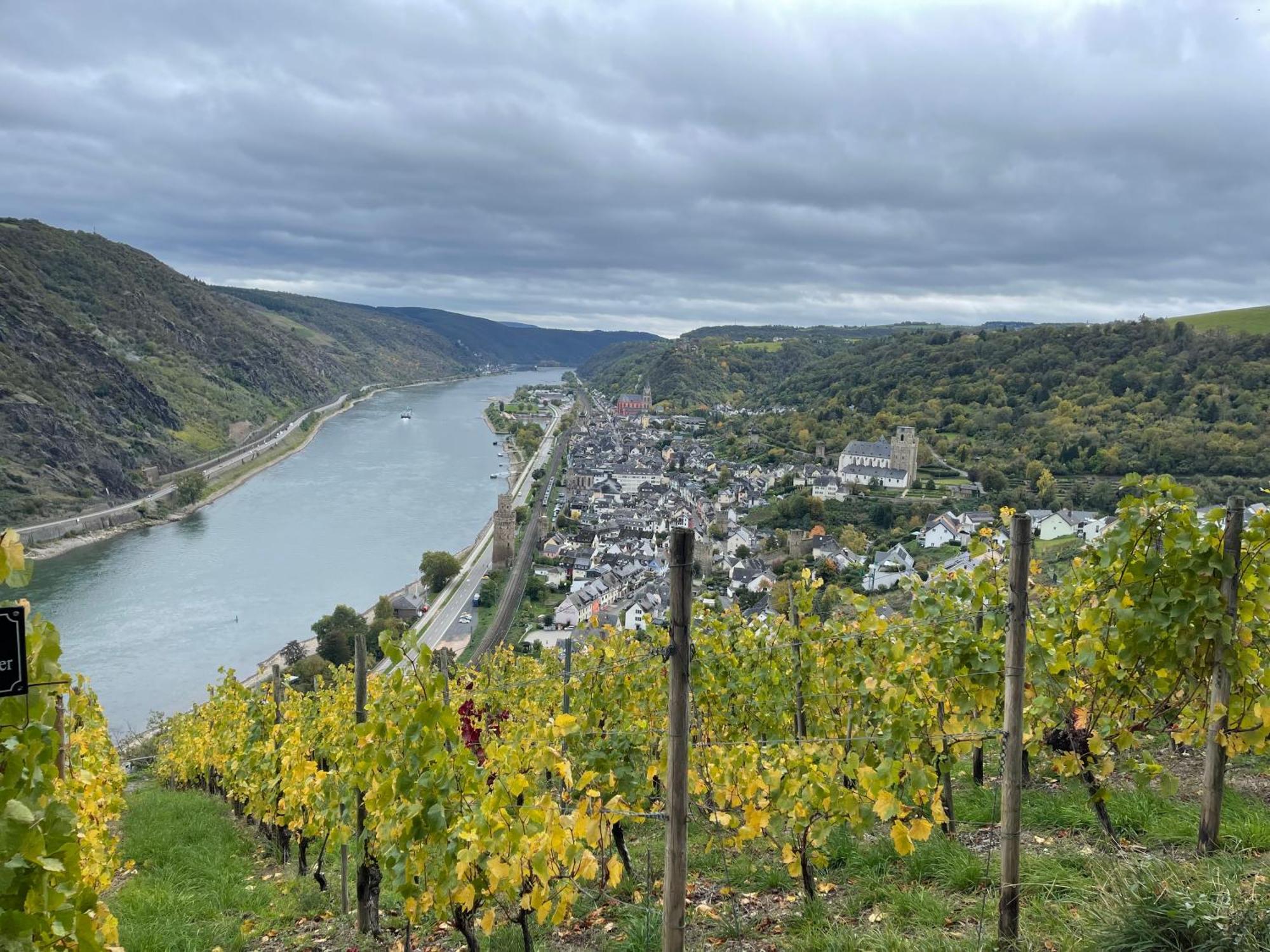 Am Apfelbaum, Ein Ferienhaus Zwischen Rhein Und Mosel Kastellaun Eksteriør billede