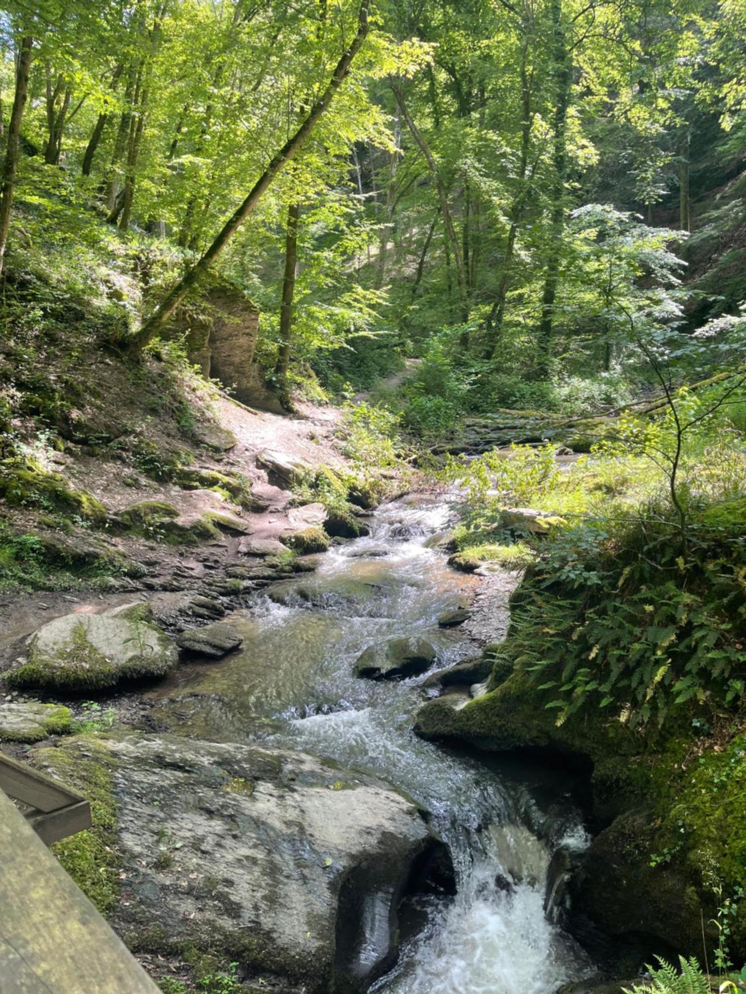 Am Apfelbaum, Ein Ferienhaus Zwischen Rhein Und Mosel Kastellaun Eksteriør billede